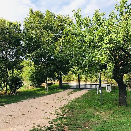 Una Casa Di Campagna Dossobuono Bagian luar foto