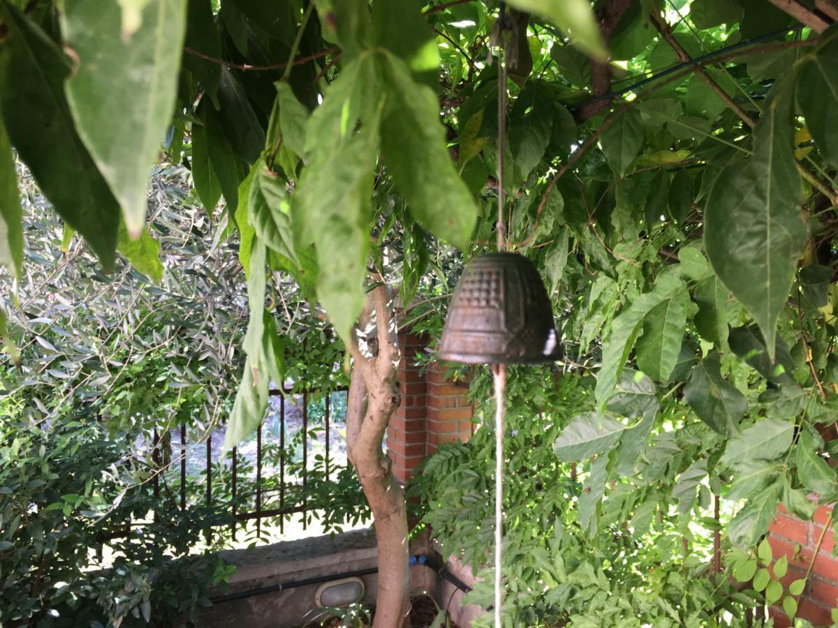 Una Casa Di Campagna Dossobuono Bagian luar foto