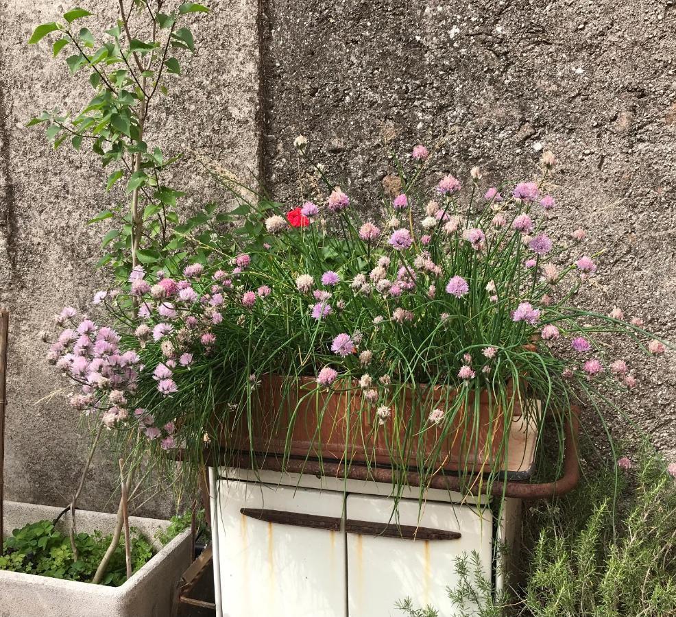 Una Casa Di Campagna Dossobuono Bagian luar foto