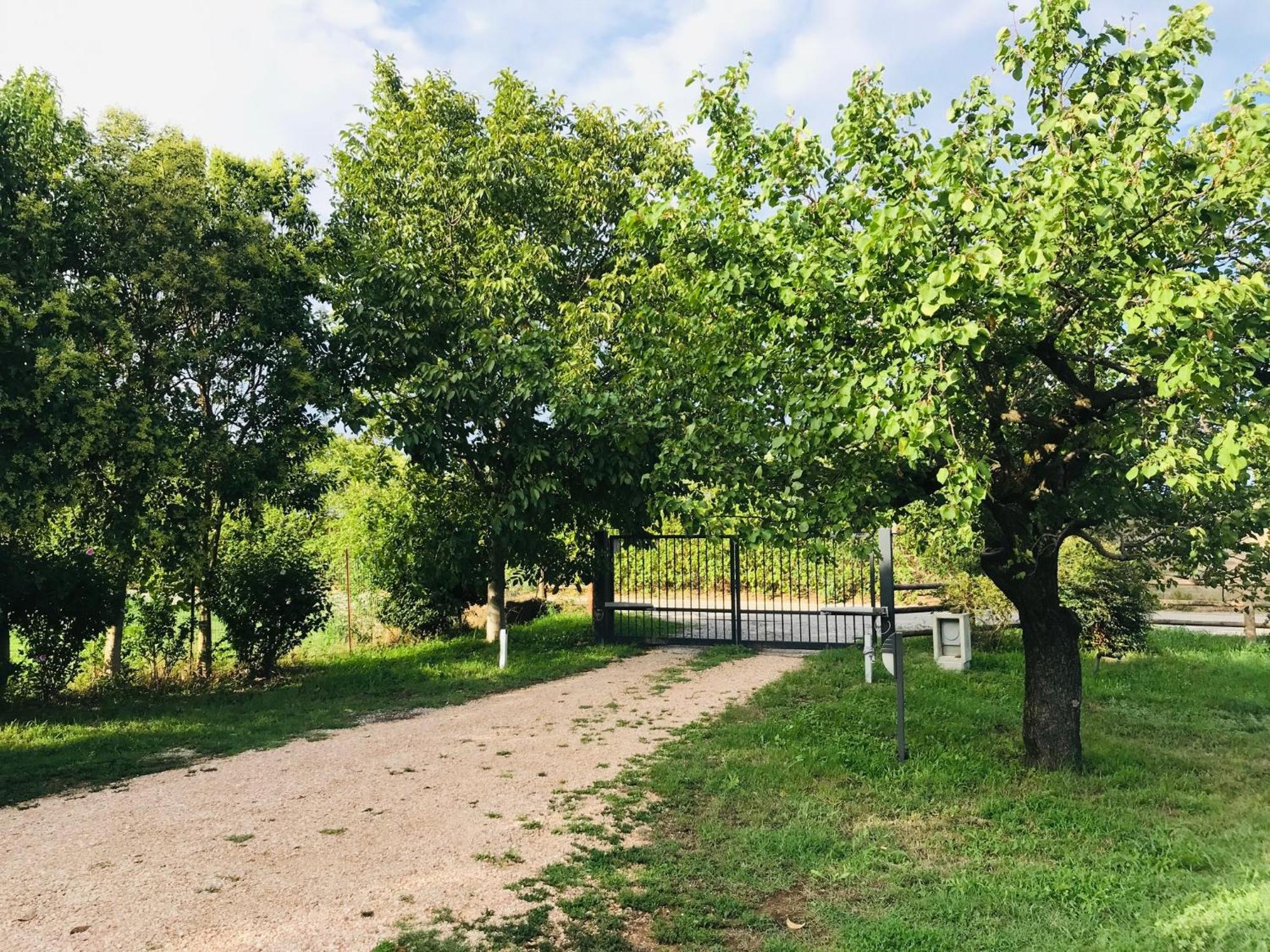 Una Casa Di Campagna Dossobuono Bagian luar foto